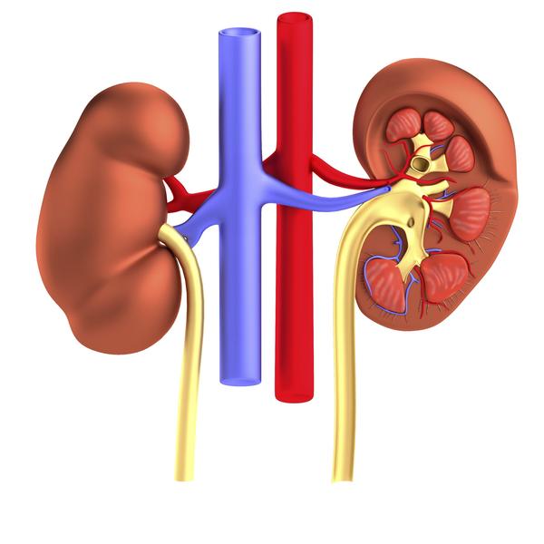 kidney-care