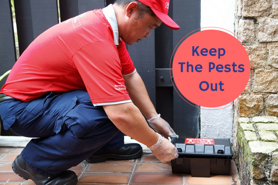 How To Keep Pests Out Of Your Home