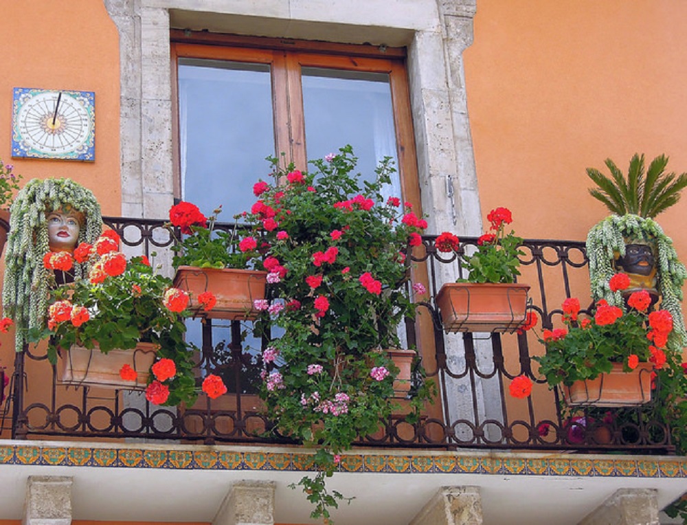 Balcony Plant Pot: Add Beauty To Your Balcony