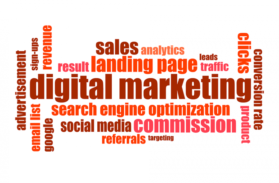 Strategies Used By A Digital Marketing Consultant to Get Leads