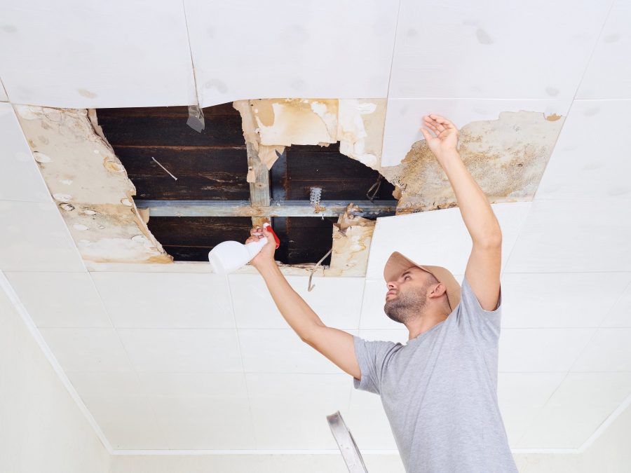 How to Locate The Source Of Attic Mold
